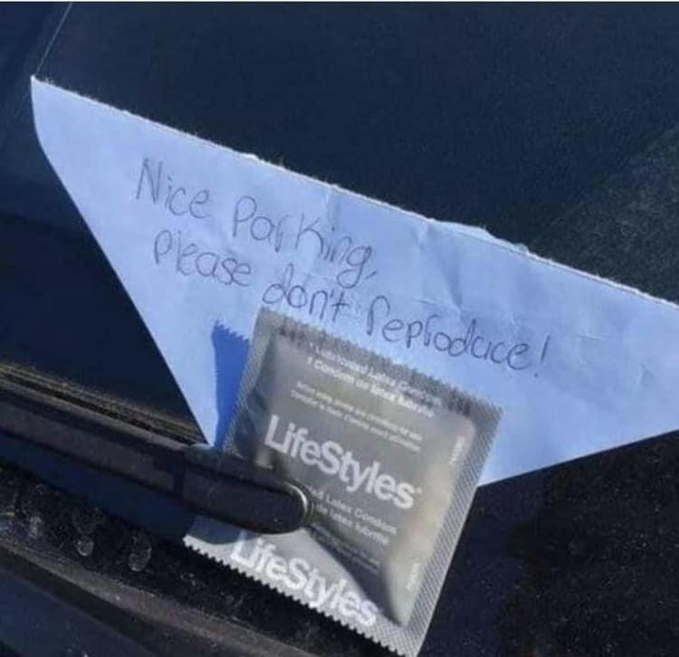 The Fine Art of Parking Satire